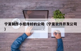 湛江宁夏制作小程序好的公司（宁夏软件开发公司）